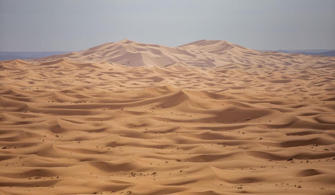 Ali & Sara'S Desert Palace Ξενοδοχείο Merzouga Εξωτερικό φωτογραφία